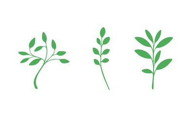 Green Plant Leaves Branch Set Nature Foliage Organic Element Vector