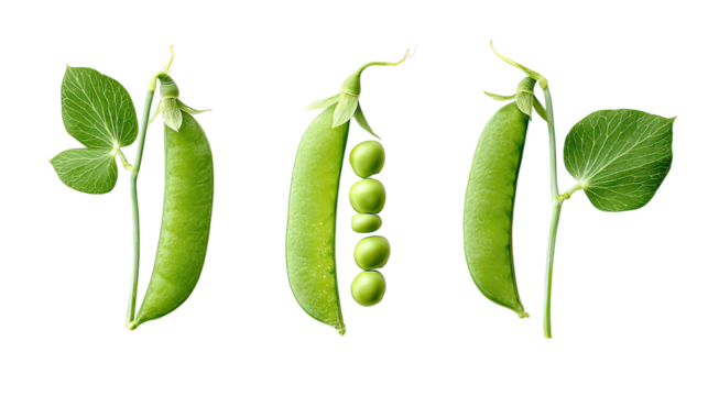 Three green premium glass ornaments hanging in spherical and teardrop shapes on transparent background