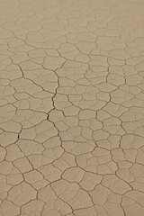 Parched clay with wandering cracks