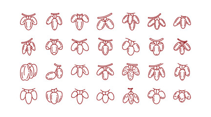 Outline vector set of date fruit icons. Leafy food. Dried branch.