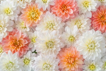 Obraz premium Soft Pastel Floral Background with Mixed Color Blossoms