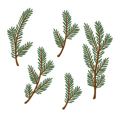 Set Of Green Spruce Branches