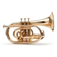 Shiny golden brass musical instrument on white