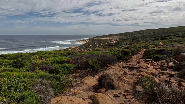 Quinninup Falls Track, Rugged Coastal Hike Through Native Bushland and Sand Dunes with Dramatic Ocean Views, Western Australia
