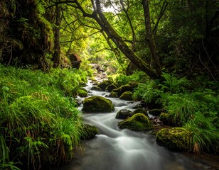 Obraz premium A stream flows through a lush, vibrant green forest, with mossy rocks and trees creating a serene landscape