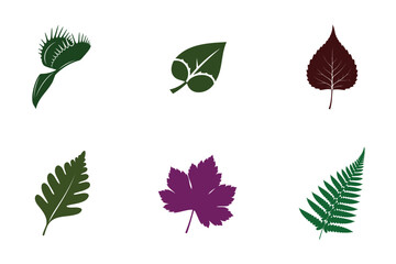 Obraz premium Botanical illustration of various leaves in different colors on white background