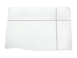 Blank White Torn Paper Fragment with Header and Vertical/Horizontal Lines