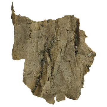 Severely Distressed Paper Fragment with Extreme Wrinkles and Dark Mold Stains