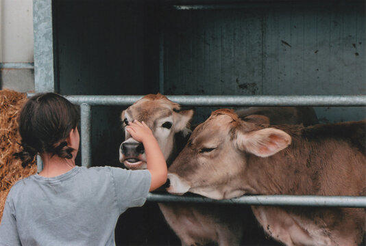 A Girl Caresses a Calf in a Mountain Village Farm, Italian Alps, During a Summer Day. Zambla Alta, Oltre il Colle, Bergamo Province, Val Brembana, Italy. Film Photography