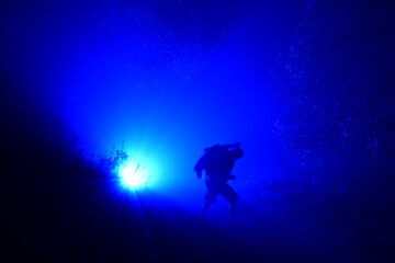 Fototapeta premium colorful lights in the fog