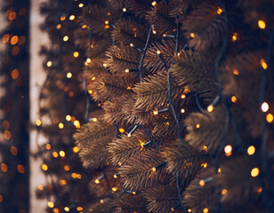 Fir Garland + Twinkling Lights Bokeh