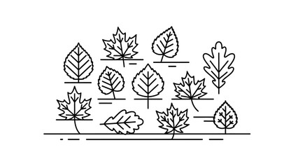 A collection of various tree leaves, such as maple and oak, depicted in a minimalist black and white line art style.