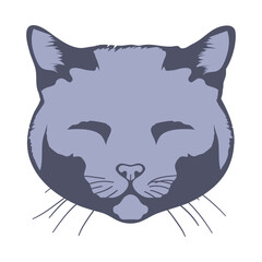 Cat face with closed eyes isolated on white background. Feline head. Vector illustration