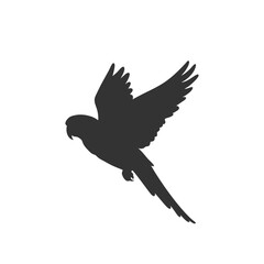 Flying parrot silhouette on white background. Vector illustration