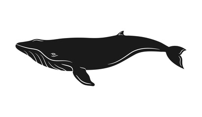 Whale silhouette isolated on white background. Vector illustration