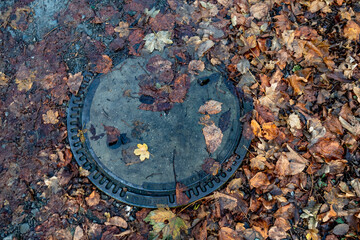 Laub und Moos verstopfen einen Abwasserschacht im Herbst