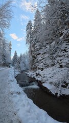 Cascading sections of the Biała Wisełka river in the Polish Beskidy Mountains, surrounded by a beautiful winter landscape. Snow-covered rocks, frozen water formations and frosty trees create a peacefu
