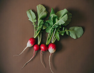 Freshly harvested radishes with vibrant green tops on a dark brown background
