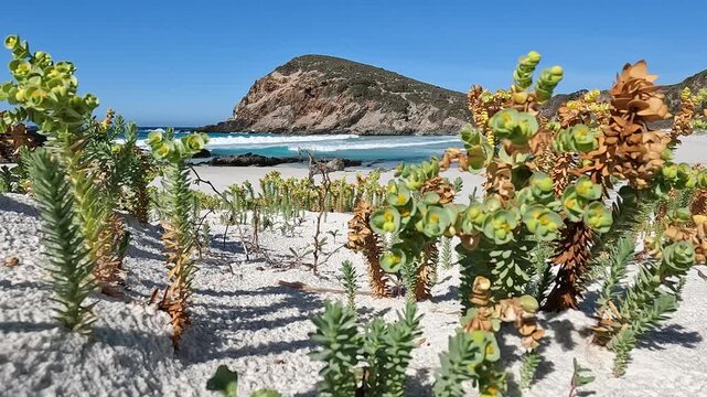 Quoin Head, Western Australia: Remote White Sand Beach and Turquoise Waters Nestled Amidst Rugged Coastal Headlands in a National Park