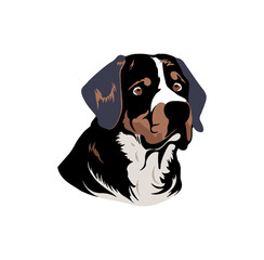 Bernese Mountain Dog head portrait. Swiss Berner Sennenhund puppy. Flat vector illustration isolated on a white background.