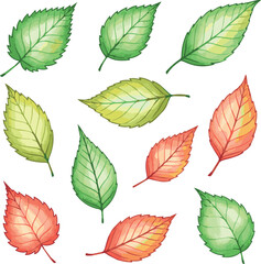 Create A Set of hand drawn watercolor colorful leaves. Vector illustrations for graphic and web design, for nature, natural products, spa and cosmetics, beauty and fashion, environment