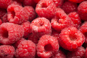 Tasty fresh raspberry as background