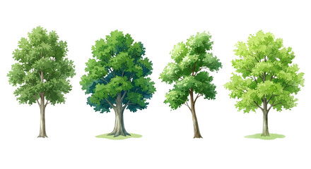 Obraz premium Four varied watercolor trees isolated, showcasing nature's beauty with lush foliage, perfect for