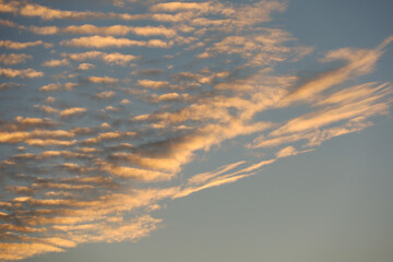 Altocumulus clouds in the evening sky. Beautiful celestial background