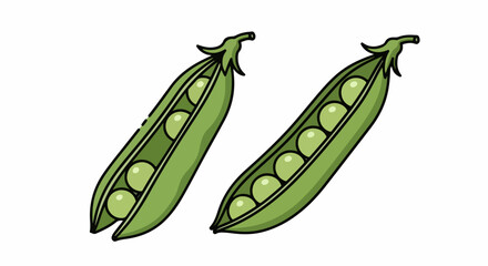 Fresh green peas still life with open pea pods. Green peas offer tasty and healthy nutrition, filled with vitamins. Healthy green peas are perfect for balanced diet,