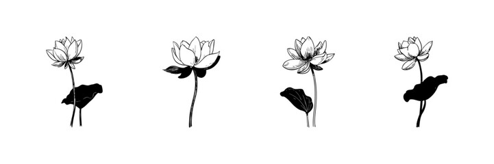 Obraz premium Lotus Flower Doodle Sketch Set. Botanical Elegance And Tranquility In Hand Drawn Style Collection. Floral Art And Nature Symbolism. Isolated Vector Illustration
