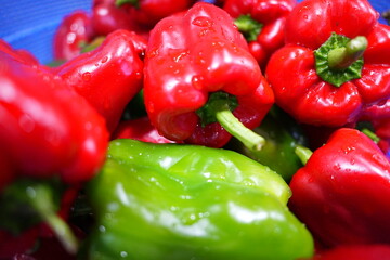Fresh red and green Korean shishito peppers with water droplets