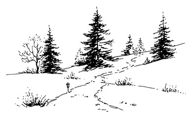 Snowy forest trail landscape with pines – winter nature hand drawn vector illustration