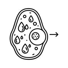 Outline icon of an amoeba cell structure showing nucleus and vacuoles, isolated on