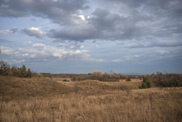 Obraz premium Vast golden grasslands stretch beneath a sky thick with layered gray clouds, where scattered shrubs and distant trees fade gently into the quiet horizon of a calm, windswept open meadow!