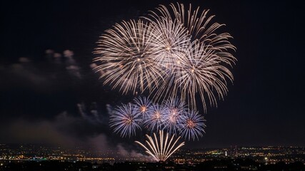 Spectacular fireworks display illuminating the night sky above a distant city skyline.