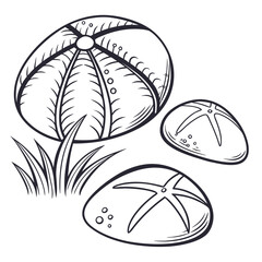 Black and white illustration of sea urchins and grass