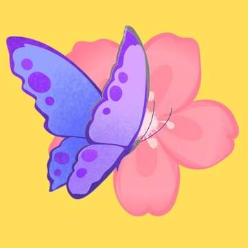 butterfly perched on flower