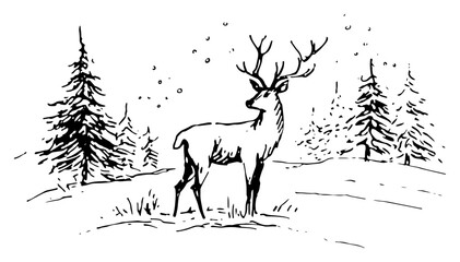 Naklejka premium Majestic stag standing in snowy pine forest winter wildlife vector illustration