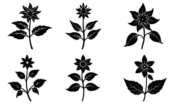 Elegant floral elements for botanical designs, perfect for wedding invitations or springtime promotions, originally a scalable vector graphic for flexible use