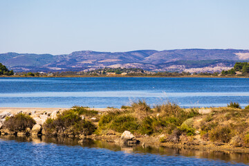 Village of Gruissan on the horizon from the opposite shore of the Gruissan lagoon