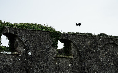 Mussenden Temple and Downhill House in Northern Ireland.