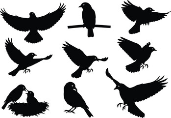 Bird silhouettes in flight, perched on branches, nesting, interacting, black vector shapes, nature poses, wildlife clipart, isolated design elements
