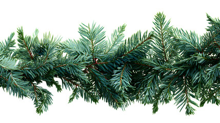 Obraz premium Green pine branches arranged as Christmas foliage isolated on white background