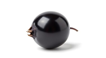 Single blackcurrant isolated on white background