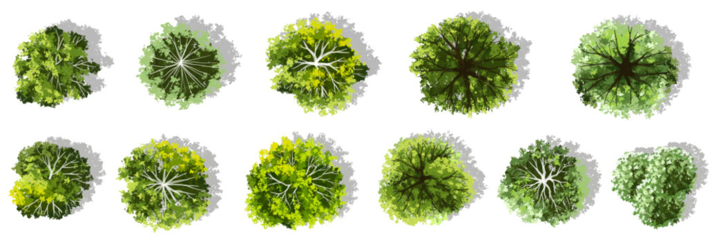 Vector watercolor green tree or forest top view isolated on white background for landscape plan and architecture drawing,plant for environment or garden,botanical element for exterior layout