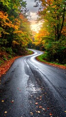 Fototapeta premium Winding road through autumn trees, leaves scattered on the wet pavement reflecting the light above