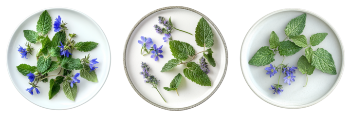 Three dishes with green leaves and blue flowers, creating a visually appealing arrangement