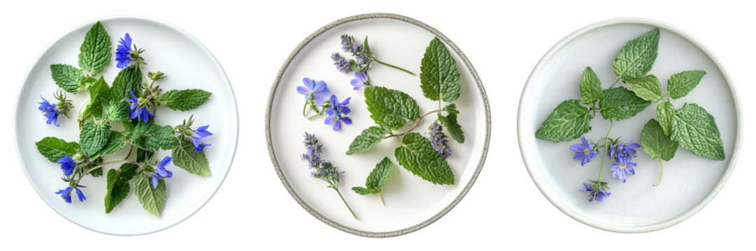 Three dishes with green leaves and blue flowers, creating a visually appealing arrangement
