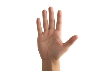 Gesture of openness with a hand showing five fingers, communication and connection, perfect for presentations or guidance, diverse and welcoming human touch