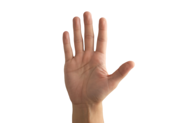 Gesture of openness with a hand showing five fingers, communication and connection, perfect for presentations or guidance, diverse and welcoming human touch